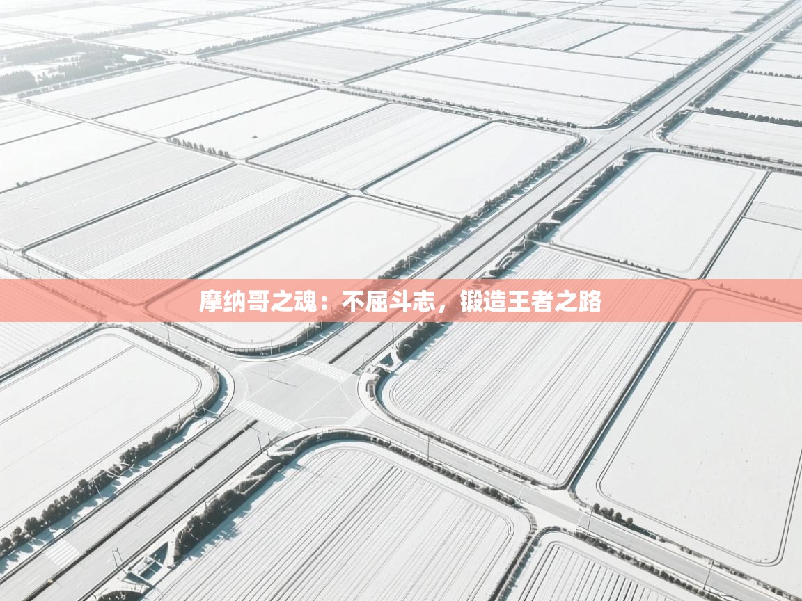 摩纳哥之魂：不屈斗志，锻造王者之路  第1张