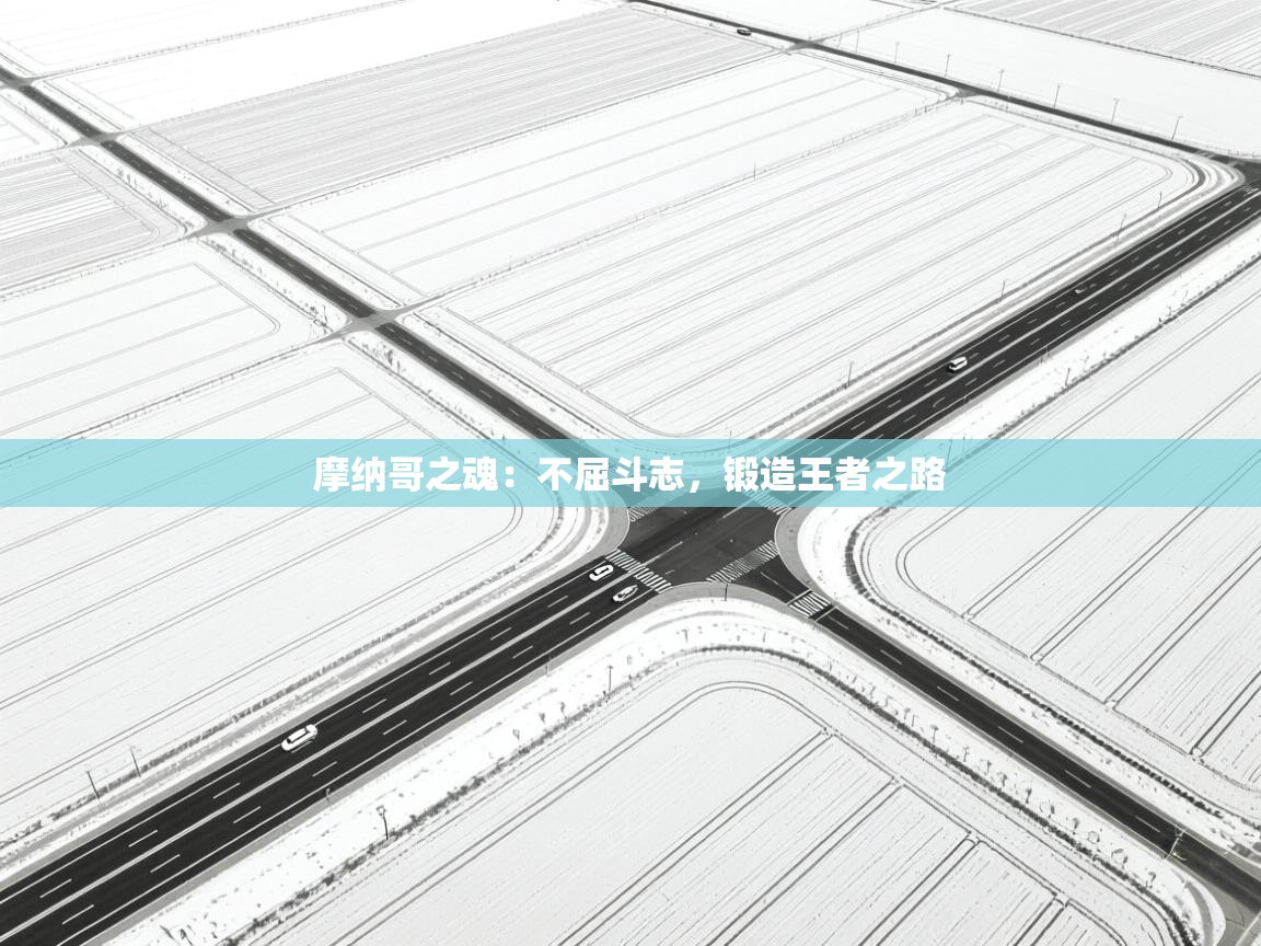 摩纳哥之魂：不屈斗志，锻造王者之路  第2张